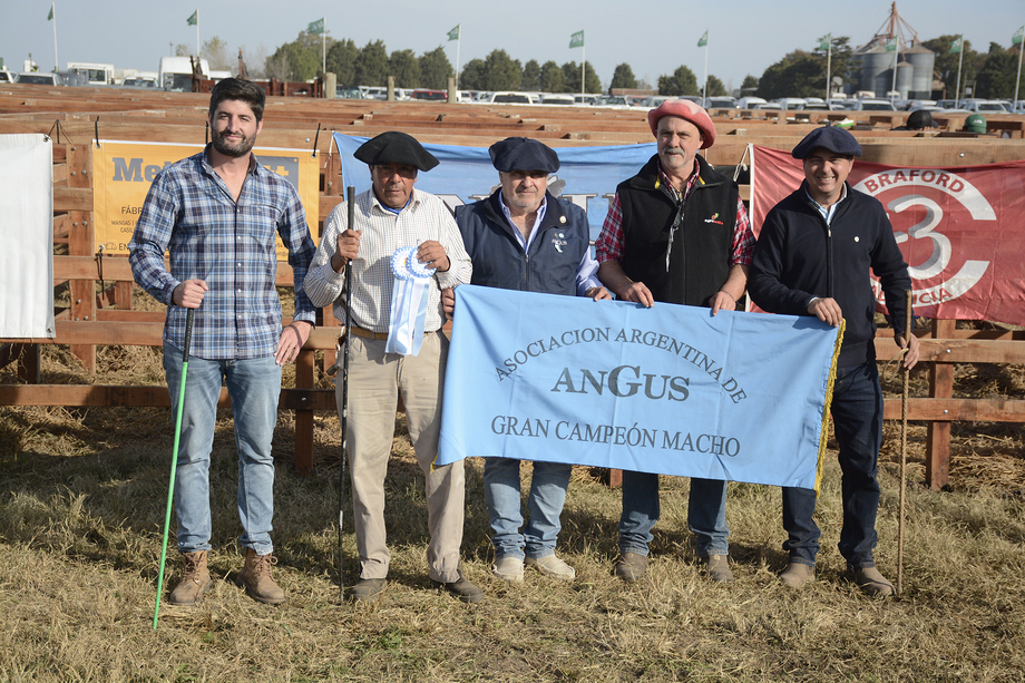Toros y vaquillona de cabaña La Conquista fueron los grandes campeones de Angus