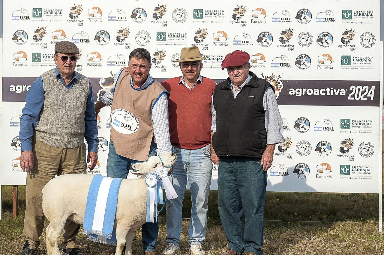 Campeona Suprema de la raza Texel, una hembra de puro pedigree de una cabaÃ±a cordobesa