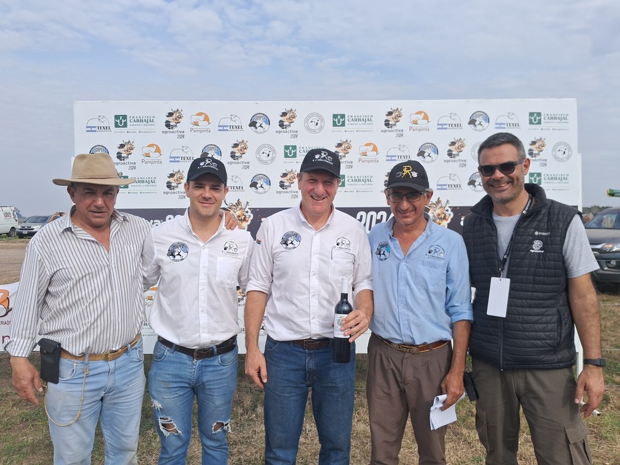 Premiaron a las cabaÃ±as de ovinos que exhibieron los reproductores con la mejor genÃ©tica