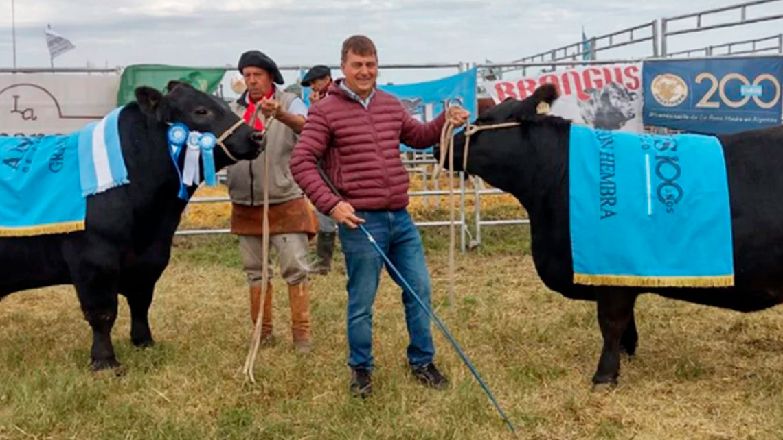 Exitosa selecciÃ³n de los mejores toros y vaquillonas campeones de la raza angus en agroactiva