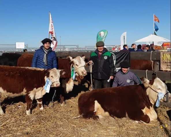 Hereford hace historia en la megamuestra con su primer remate invernal 