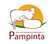 Pampinta