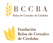 BCCBA